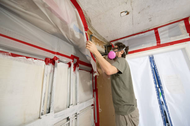 Best Mold Remediation for Healthcare Facilities  in Cross Lanes, WV