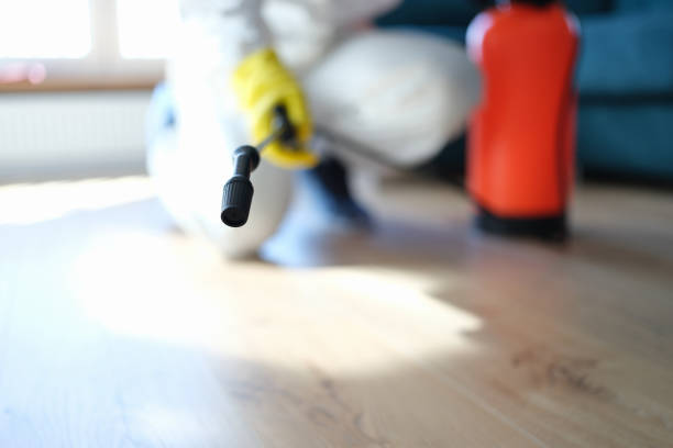 Best Indoor Air Quality Assessment  in Cross Lanes, WV