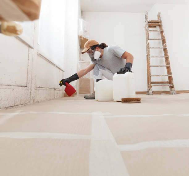Best Environmental Consulting for Mold Prevention  in Cross Lanes, WV